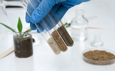 Laboratory assistant holding glass tubes of sand, black soil and